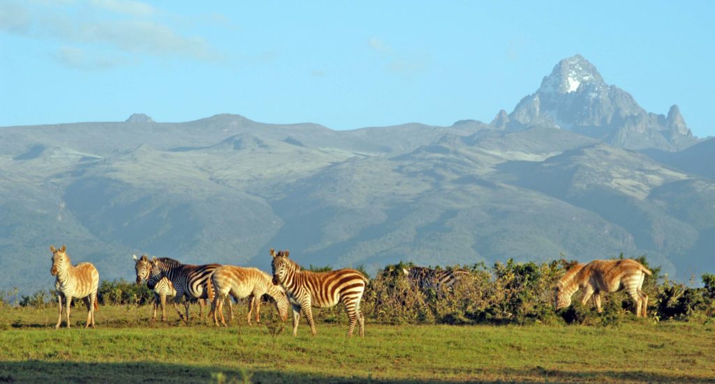 Katavi National Park