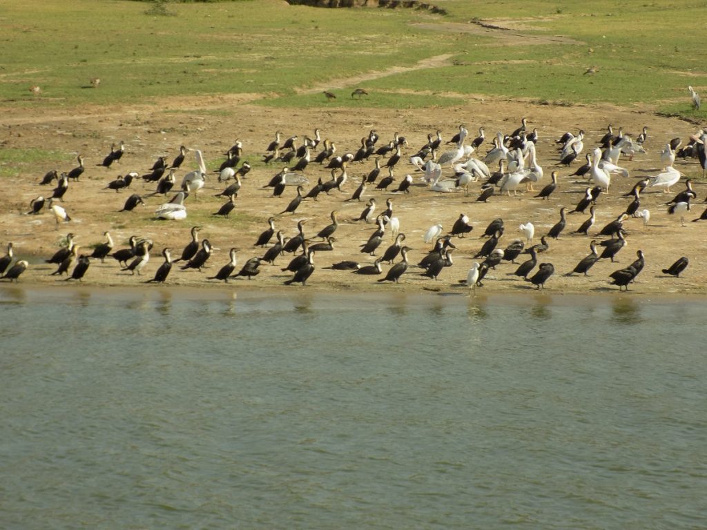 lake Edward Uganda